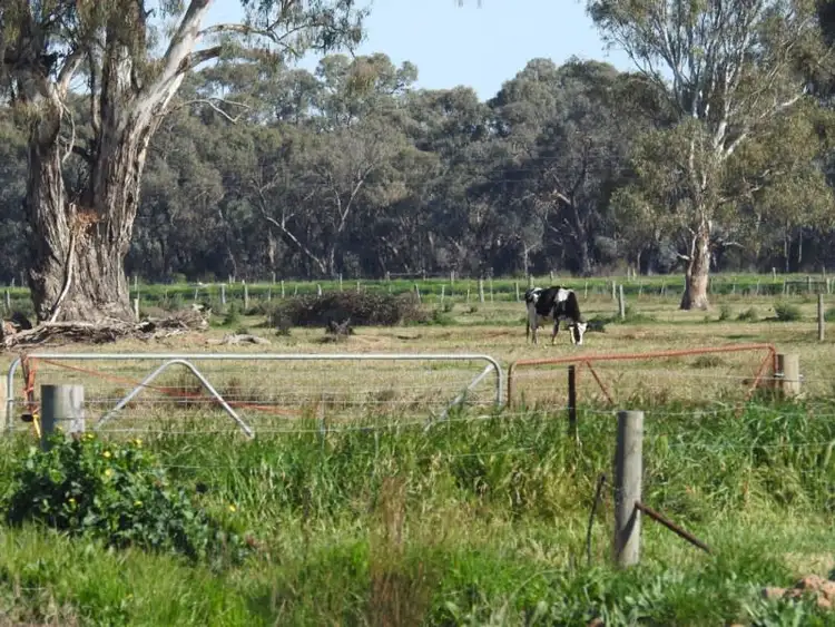 Seventh view of Homely house listing, 531 Headworks Road, Torrumbarry VIC 3562