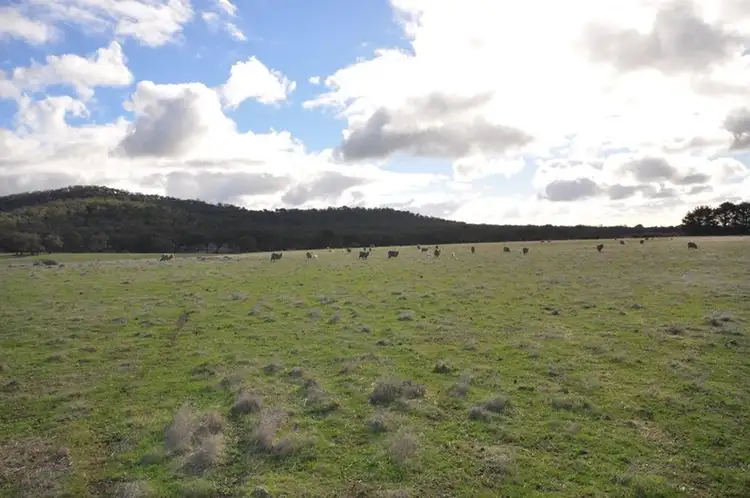 Seventh view of Homely rural property listing, 80 Mountain Creek Road, Clunes VIC 3370