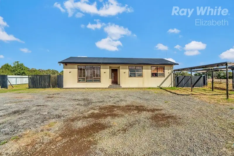 Main view of Homely house listing, 31 Ormsby Road, Kudla SA 5115