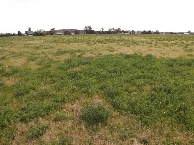 Second view of Homely rural property listing, 76 Glenridding Road, Singleton NSW 2330