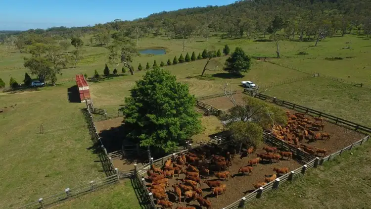 Second view of Homely rural property listing, Glen Alvie 11494 Waterfall Way, Ebor NSW 2453