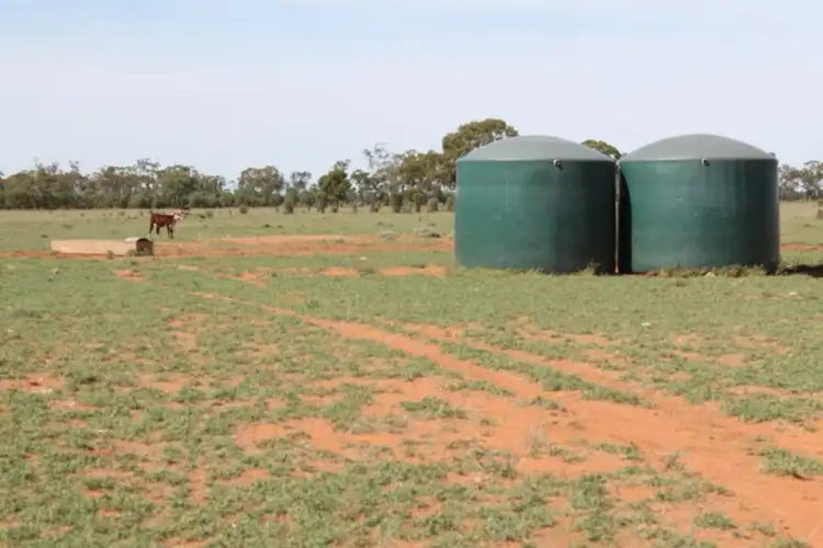 Sixth view of Homely rural property listing, . HONEYMAH Lane, Dirranbandi QLD 4486