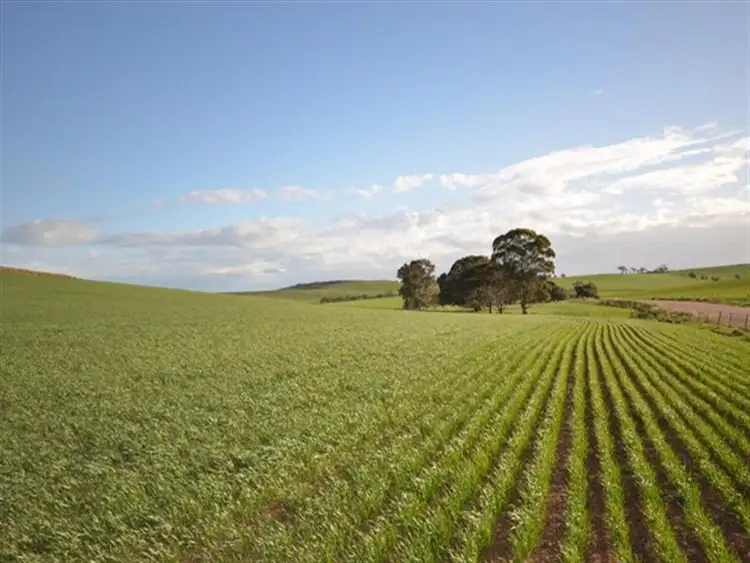 Fourth view of Homely rural property listing, Various Secs Windy Loop Road, Yacka SA 5470