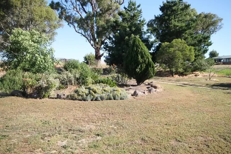Second view of Homely house listing, 100 Belmore Road, Young NSW 2594
