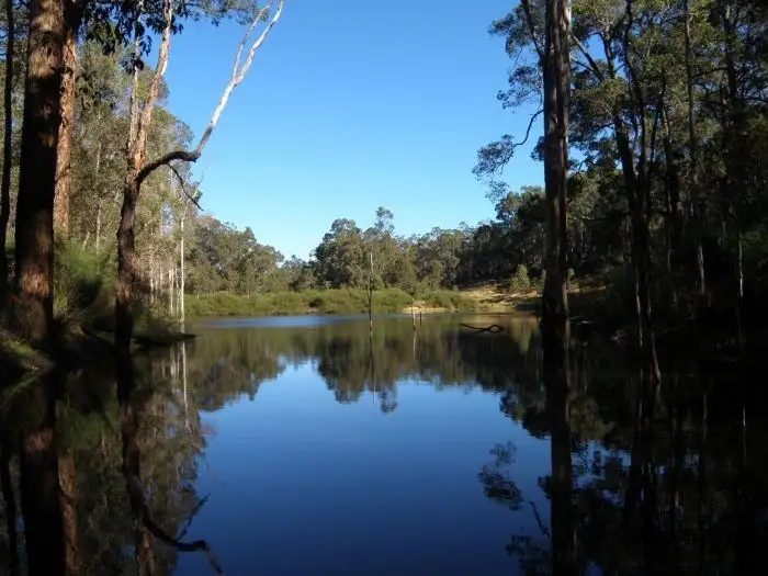 Fourth view of Homely rural property listing, Lot 3649 Gardiner Road, Nannup WA 6275