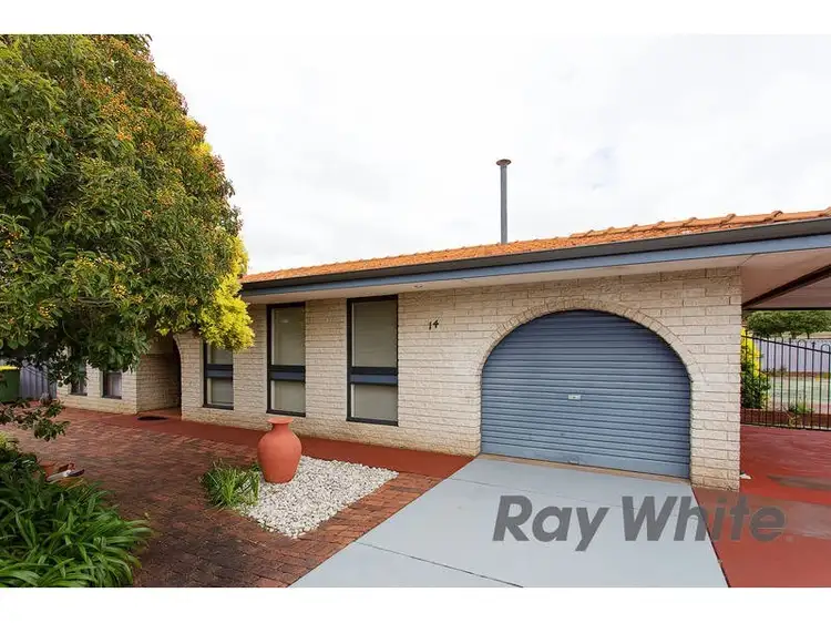 Main view of Homely house listing, 14 Williamson Road, Kardinya WA 6163
