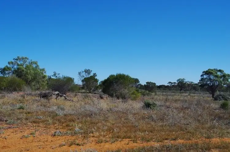 Lot 2 Story Avenue, Renmark SA 5341
