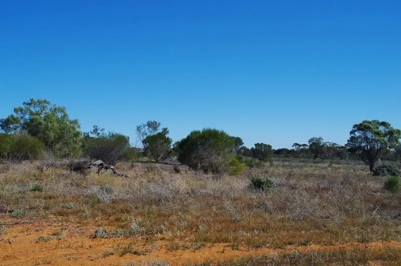 Main view of Homely rural property listing, Lot 2 Story Avenue, Renmark SA 5341