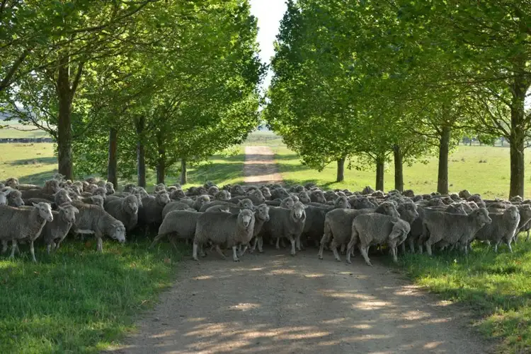 Fourth view of Homely rural property listing, Address available on request