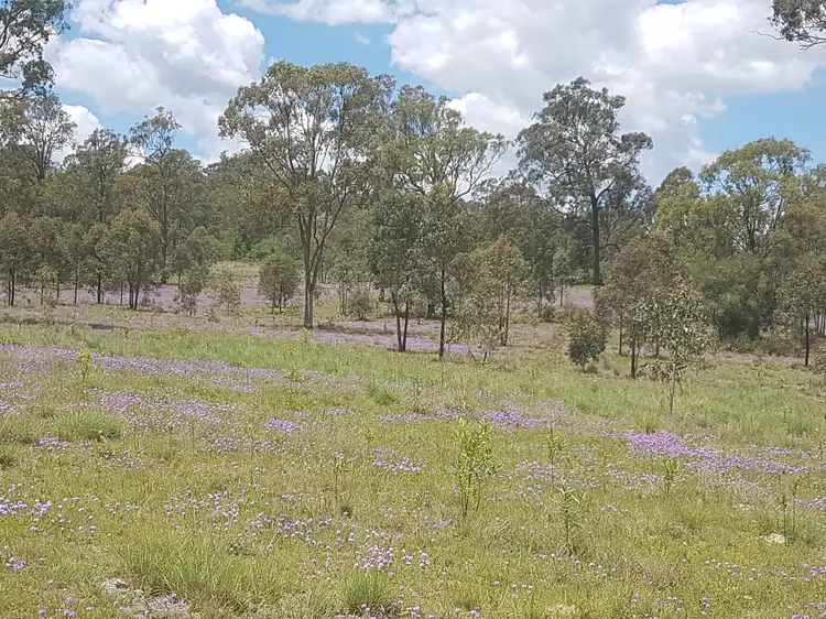 Sixth view of Homely rural property listing, 3303 New England Highway, Cooyar QLD 4402
