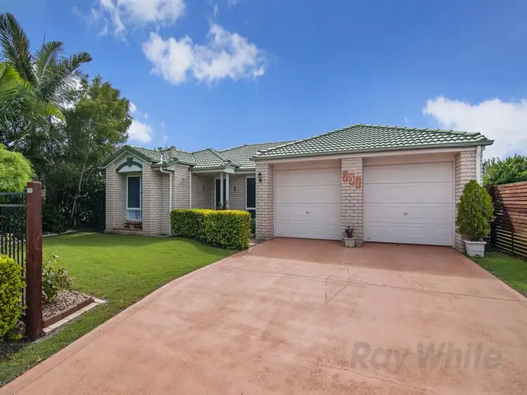 151 Macquarie Way, Drewvale QLD 4116