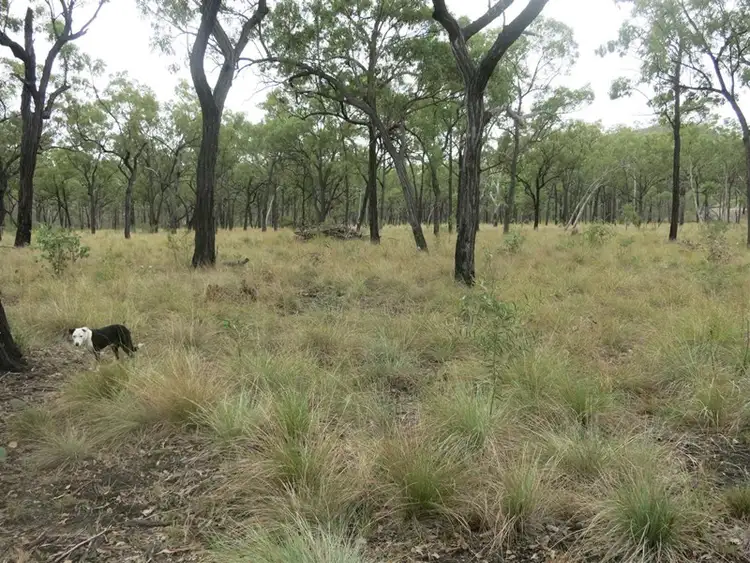 Fourth view of Homely rural property listing, Lot 14 Atkinson Road, Kunwarara QLD 4702