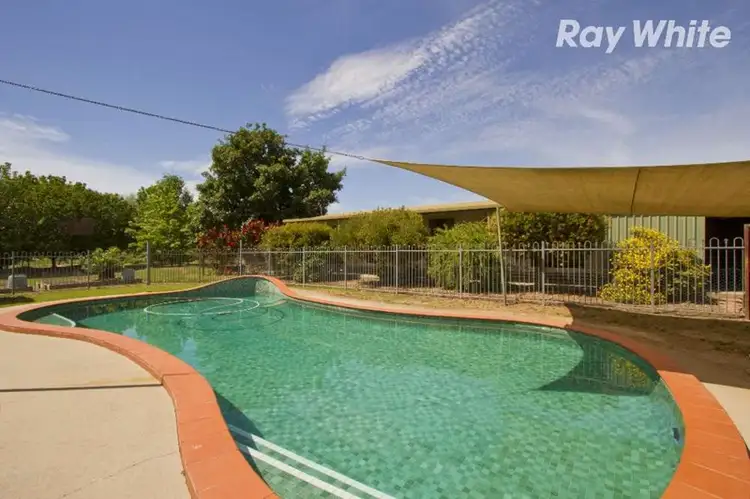 Second view of Homely rural property listing, 149 Pioneer Drive, Jindera NSW 2642