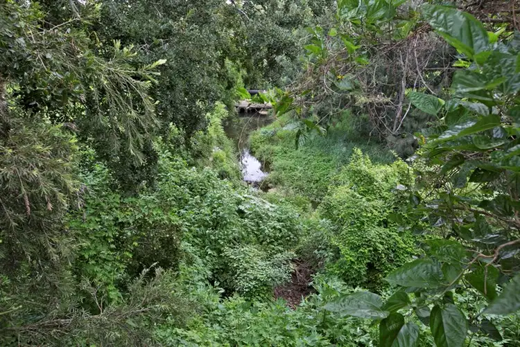 Seventh view of Homely unit listing, 2/6 Roseglen Street, Greenslopes QLD 4120