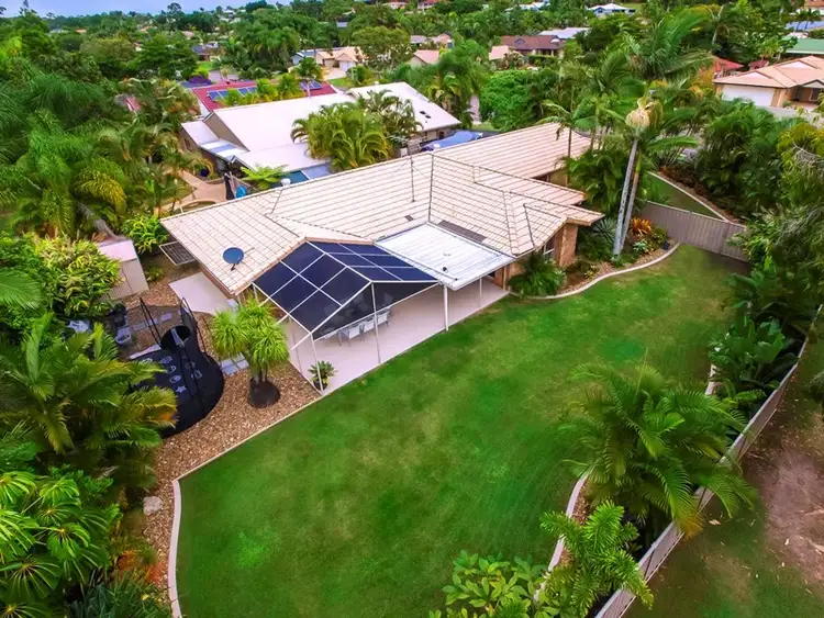 Main view of Homely house listing, 36 Jingellic Drive, Buderim QLD 4556