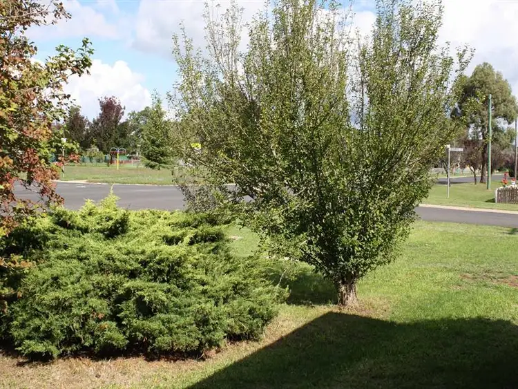 Seventh view of Homely house listing, 48 Bourke, Glen Innes NSW 2370