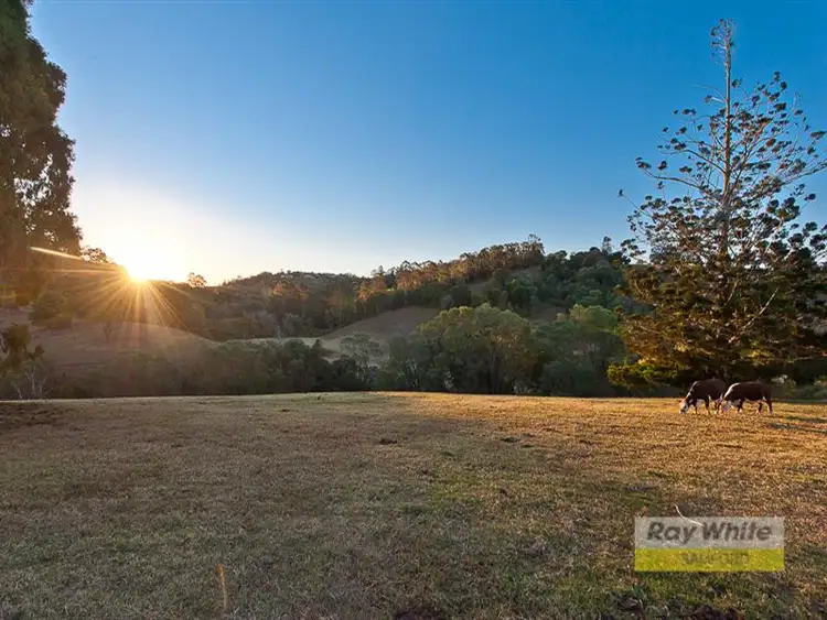 Fourth view of Homely house listing, 43 Dobson Road, Clear Mountain QLD 4500