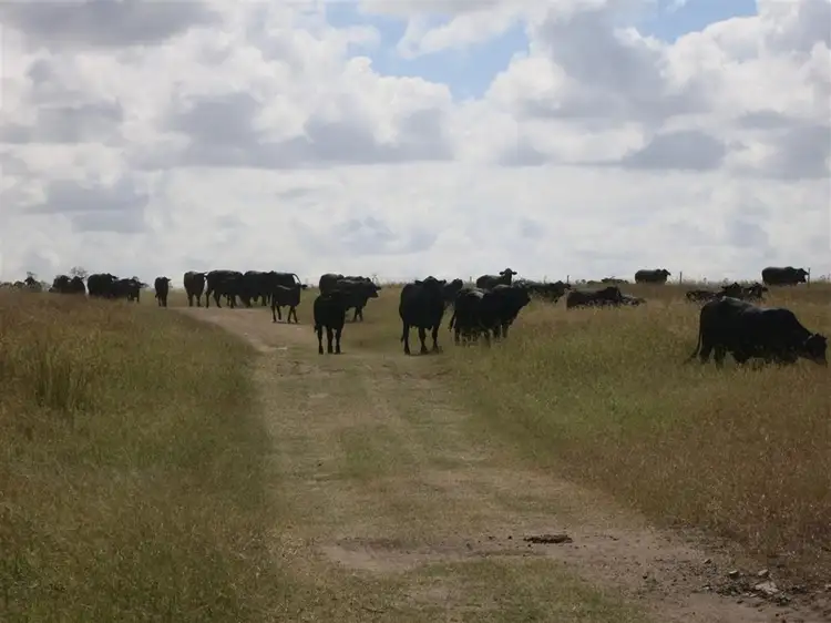 Second view of Homely rural property listing, 2432 "Hern Hill" South Yaamba Road, Garnant QLD 4702
