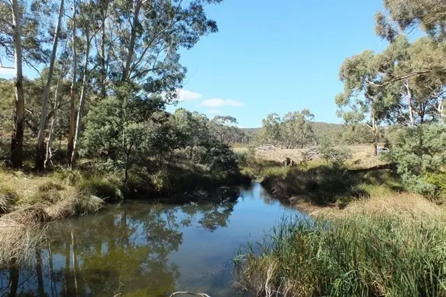 Third view of Homely rural property listing, 209 Soliders Hill Road, Wisemans Creek NSW 2795