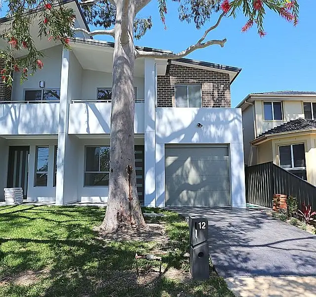 12 Carey Street, Bass Hill NSW 2197