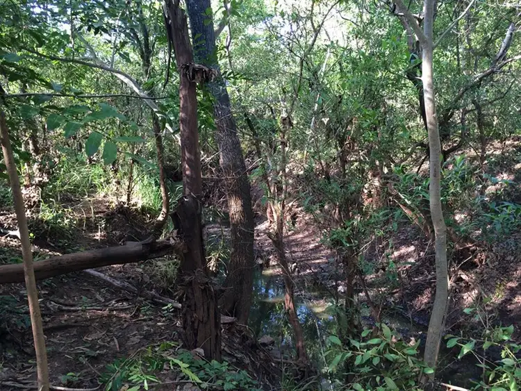 Fifth view of Homely land listing, 140 Cummings Road, Katherine NT 850