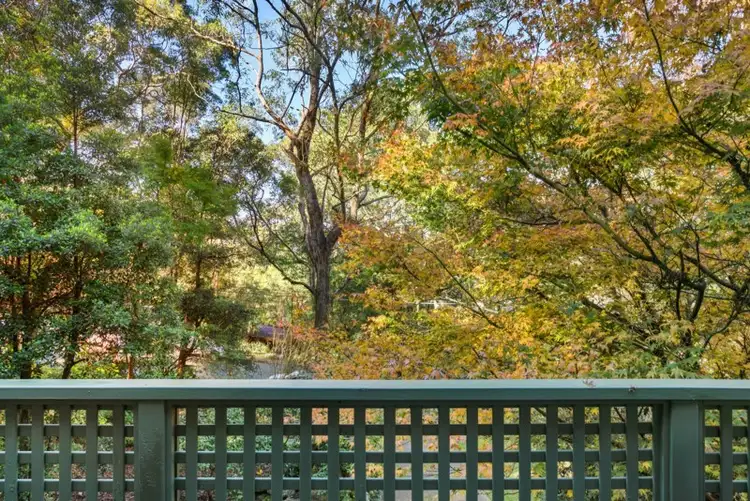 Sixth view of Homely house listing, 15 Campbell Drive, Wahroonga NSW 2076