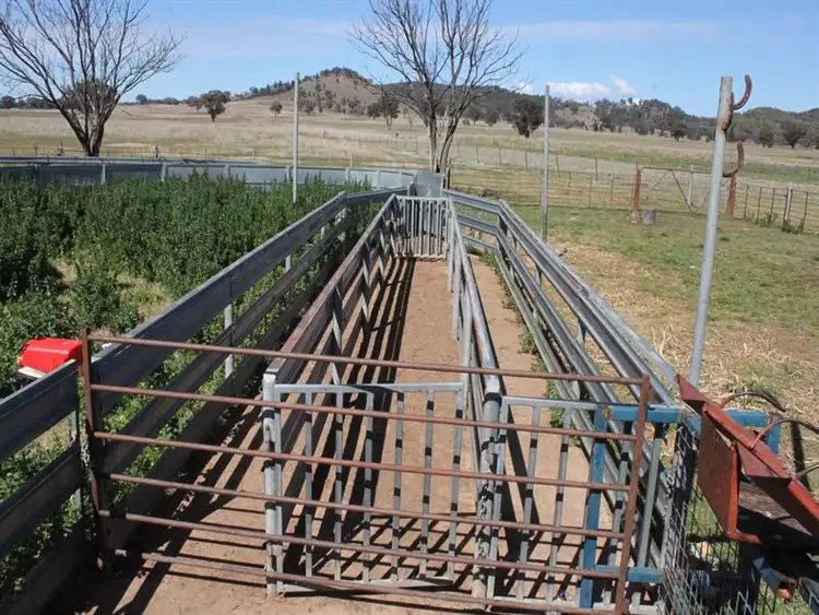 Sixth view of Homely rural property listing, 1937 Nangar Road, Canowindra NSW 2804