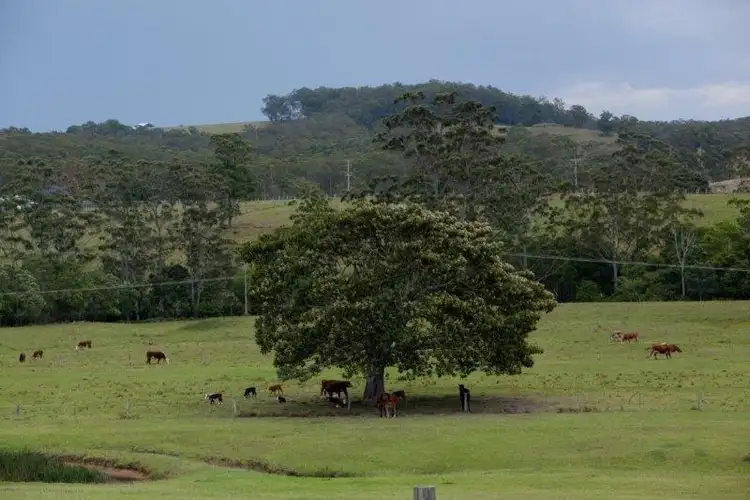 Second view of Homely rural property listing, 618 Half Chain Road, Koorainghat NSW 2430