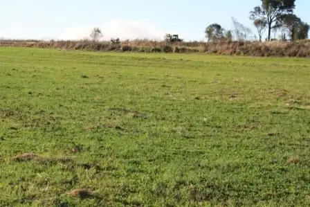 Fifth view of Homely rural property listing, Lot 35 Dykehead Road, Mundubbera QLD 4626