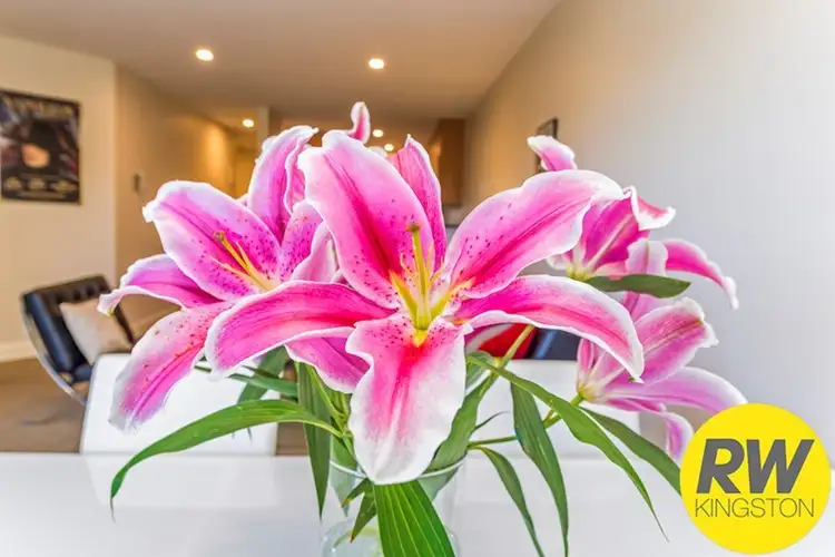 Fifth view of Homely apartment listing, 109/5 Empire Circuit, Forrest ACT 2603