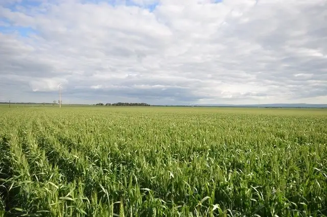 "Welkes" Lakeview Road, Brinkworth SA 5464