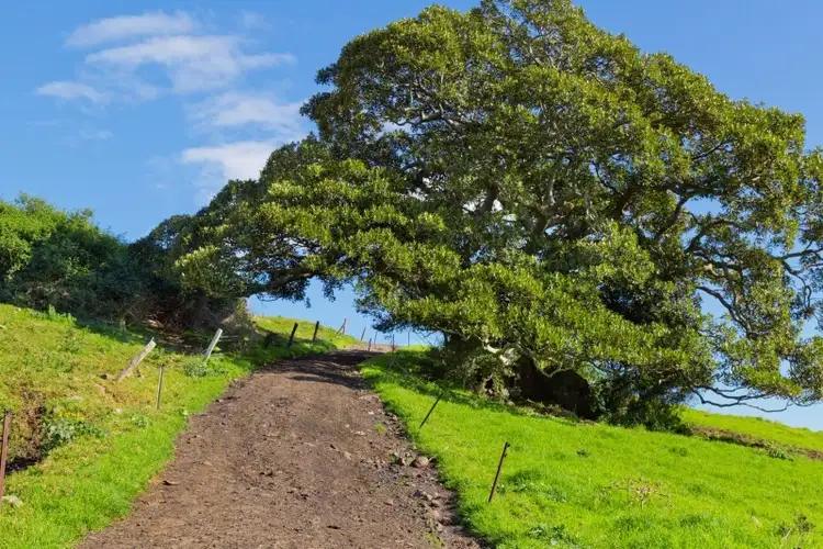 Sixth view of Homely rural property listing, Lot 2 109 Riversdale Road, Jamberoo NSW 2533