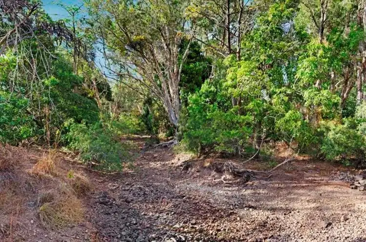 Seventh view of Homely land listing, 29A Alligator Creek Road, Alligator Creek QLD 4816