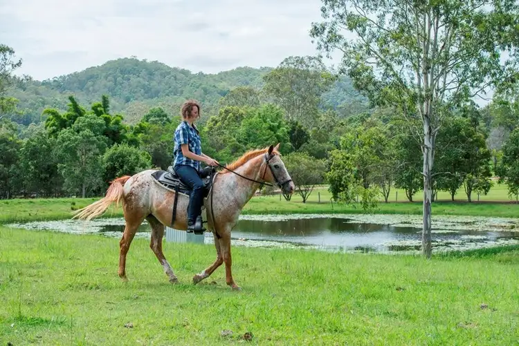 Fourth view of Homely rural property listing, 885 Browns Creek Road, Eerwah Vale QLD 4562