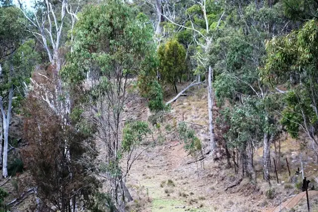 Second view of Homely rural property listing, 309 Upper Emu Creek Road, Emu Vale QLD 4371