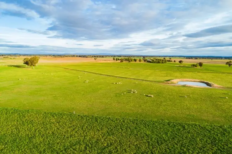 Sixth view of Homely rural property listing, 7853 The Escort Way, Eugowra NSW 2806
