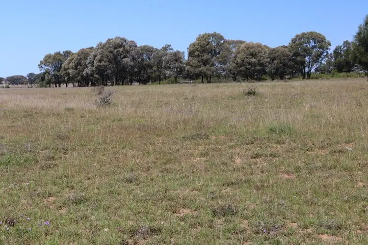 0 Mountain Road, Wallumbilla QLD 4428