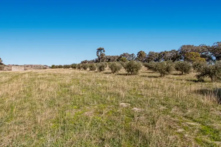 Seventh view of Homely rural property listing, 430 Homewoods Road, Whiteheads Creek VIC 3660