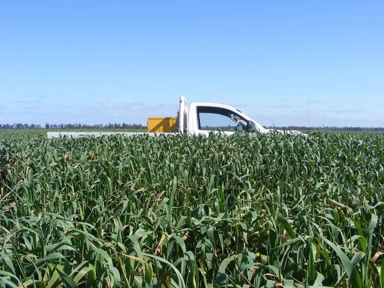 Fifth view of Homely rural property listing, Address available on request