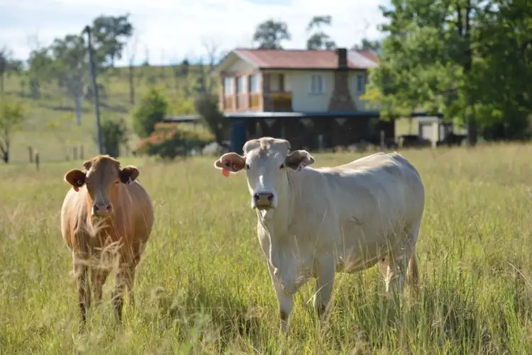 Seventh view of Homely rural property listing, 125 Sippels Road, Grandchester QLD 4340