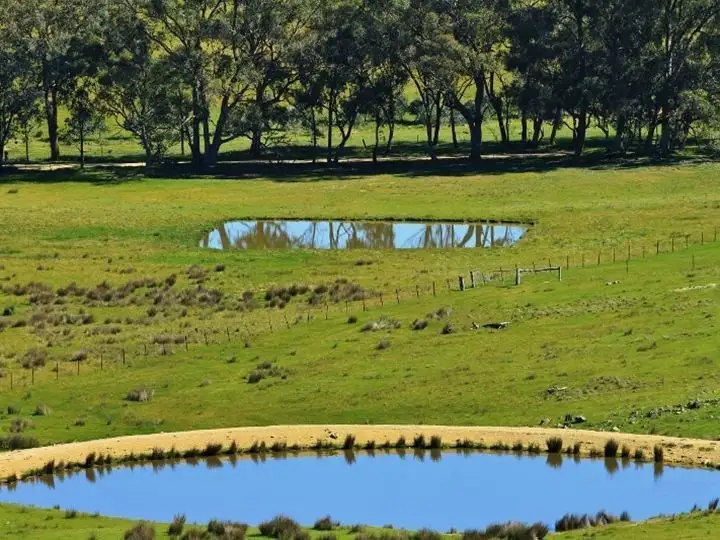 Fourth view of Homely rural property listing, Lots 1-6, 50 Loeman Road, Tooborac VIC 3522