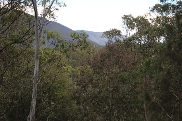309 Upper Emu Creek Road, Emu Vale QLD 4371