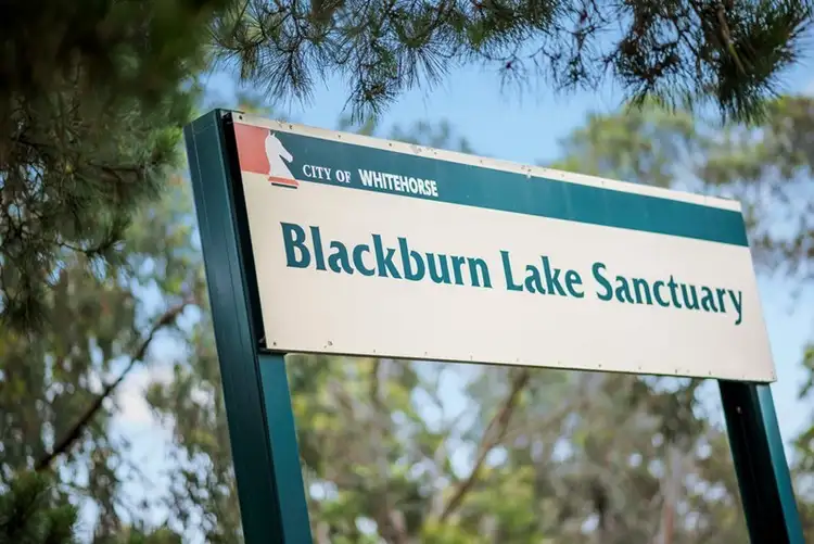 Second view of Homely land listing, 41 Edinburgh Road, Blackburn South VIC 3130
