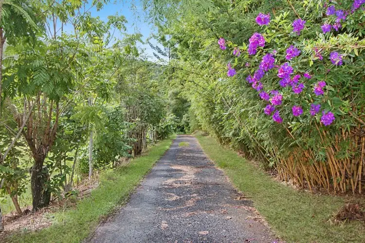 Fourth view of Homely rural property listing, 1491 Numinbah Road, Chillingham NSW 2484