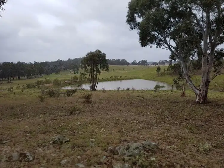 Fifth view of Homely rural property listing, 190 The Lookdown Road, Bungonia NSW 2580