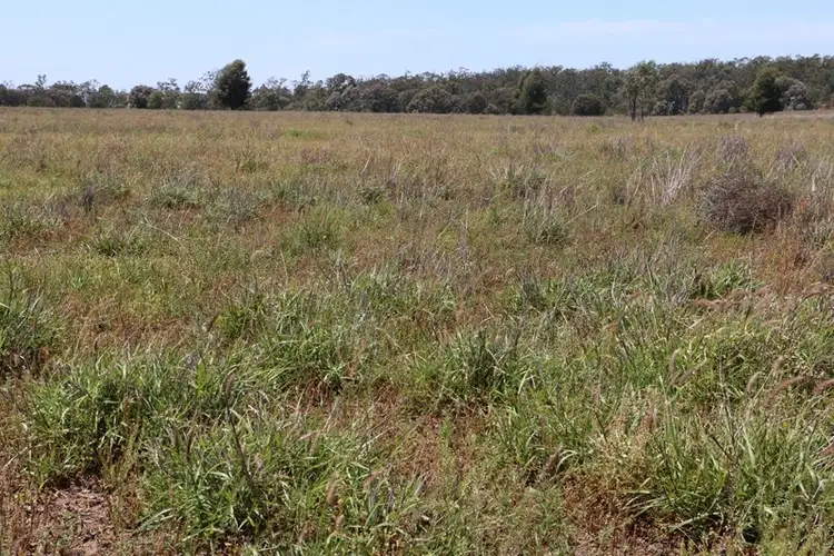 Sixth view of Homely rural property listing, 0 WESTGRIFF, Jackson QLD 4426