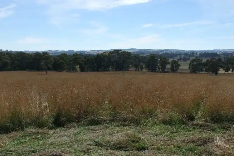 Seventh view of Homely rural property listing, 90 Sunset Hills Road, Blayney NSW 2799