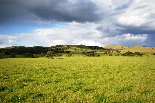 Main view of Homely rural property listing, "Toolangie" Barrier Highway, Hallett SA 5419