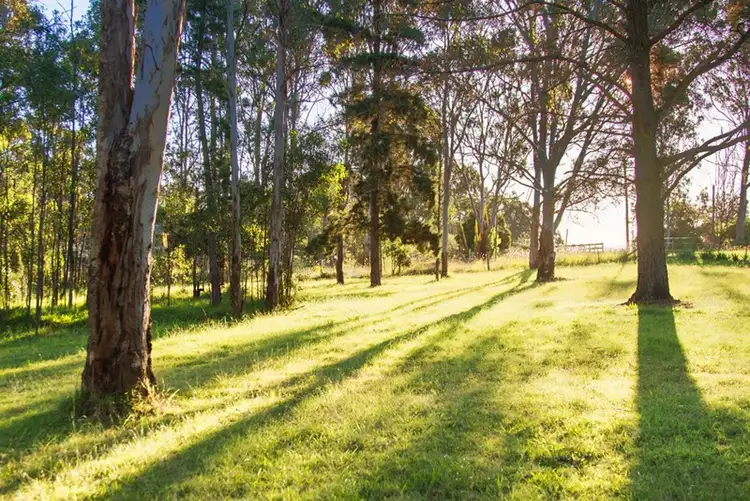 Second view of Homely rural property listing, 44 Findley Road, Bringelly NSW 2556