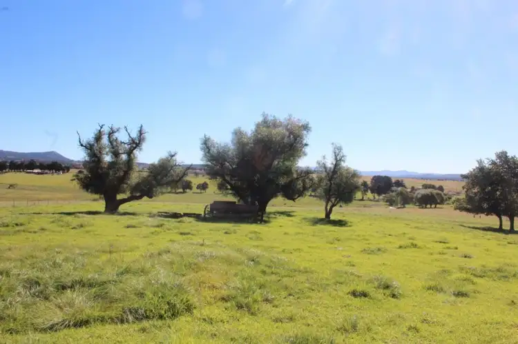 Main view of Homely rural property listing, Lot 10 Millers Lane, Tenterfield NSW 2372
